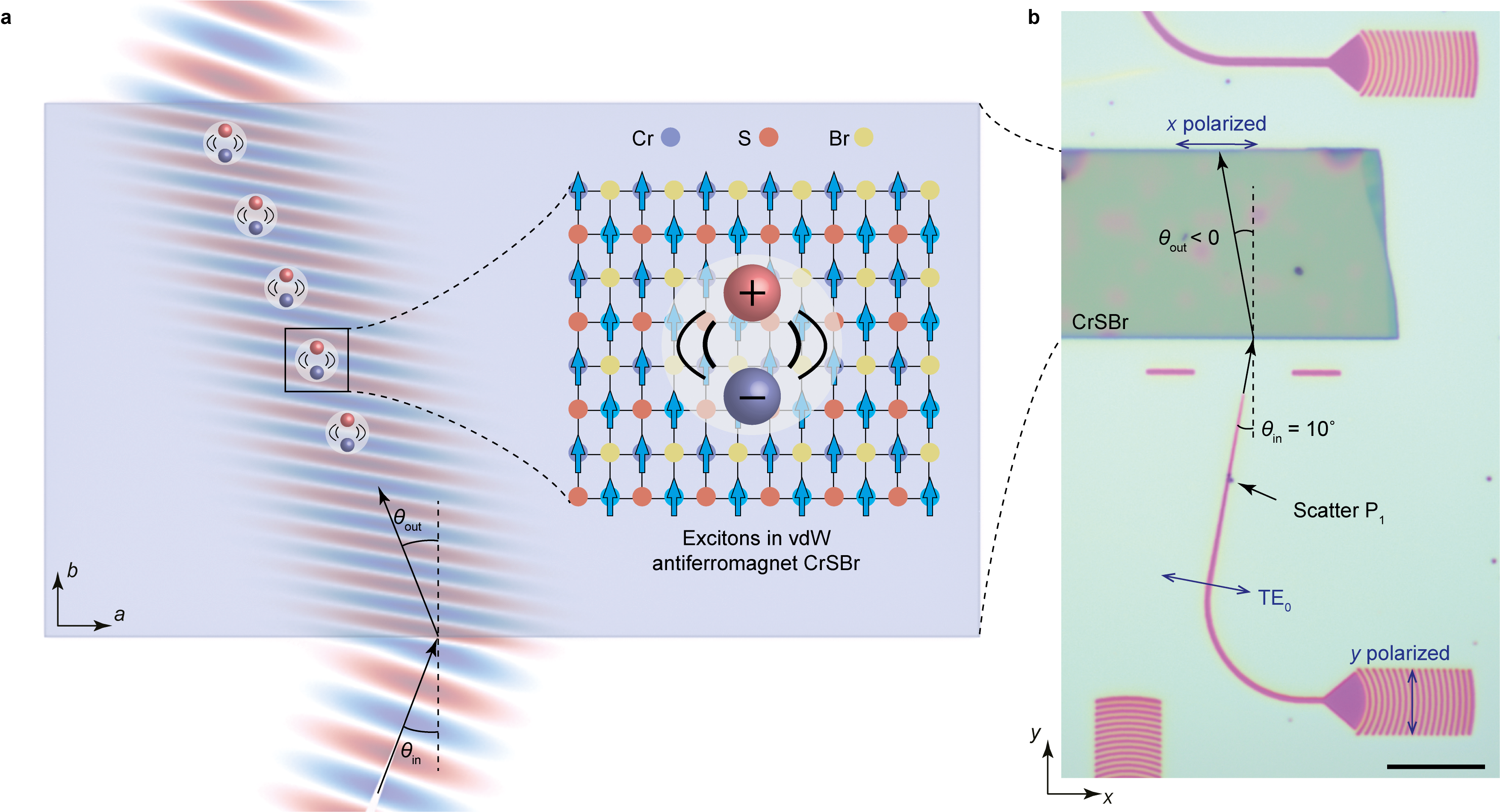 Excitonic negative refraction mediated by magnetic orders